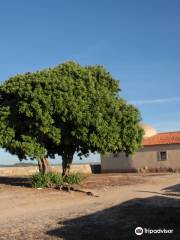 Forte de Sao Vicente