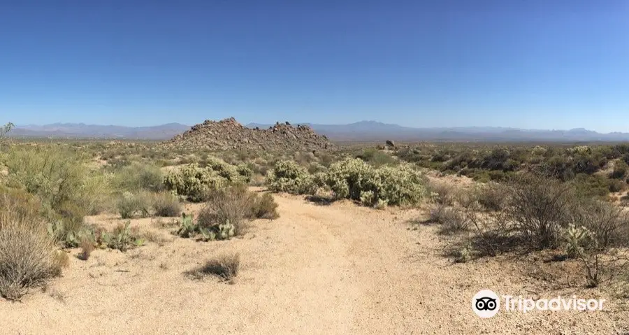 Marcus Landslide Trail