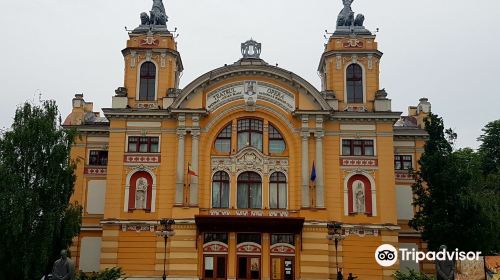 Cluj Arena