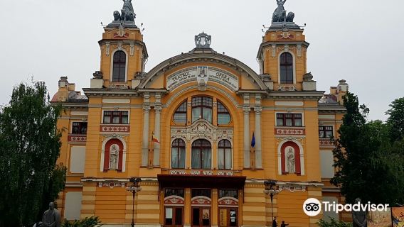 Cluj Arena