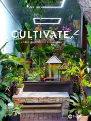 Cultivate Urban Rainforest & Gallery