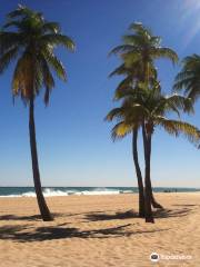 Las Olas Beach
