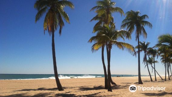 Las Olas Beach