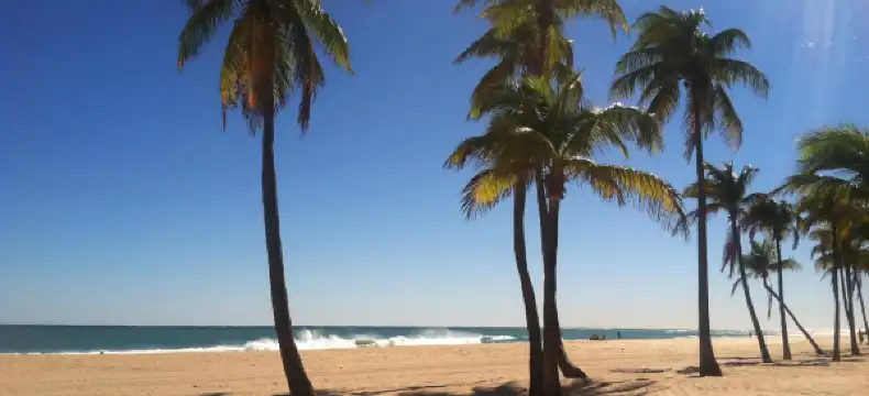 Hotels in Fort Lauderdale