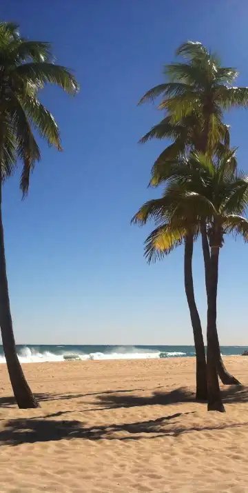 勞德代爾堡希爾頓歡朋酒店住宿