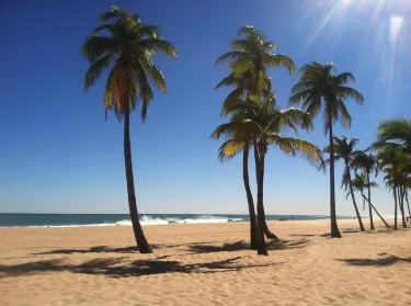 Fort Lauderdale