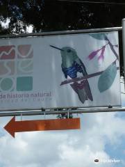 Museo de Historia Natural de la Universidad del Cauca