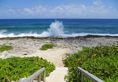 Blow Holes