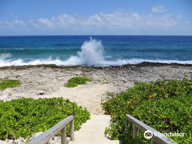 The Blowholes