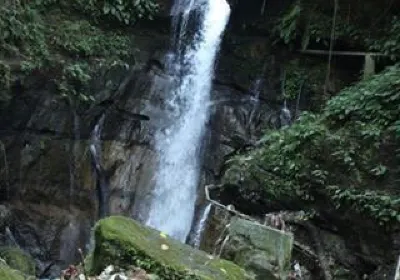 Indang