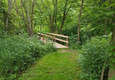 Stauffer's Marsh Nature Preserve