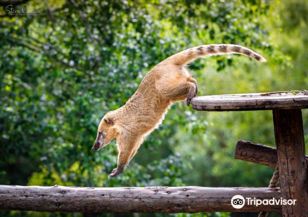 Curraghs Wildlife Park