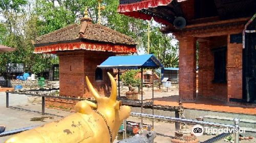 Kedareshwar Mahadev Mani Temple