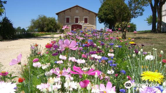 Le Temple de Tourteyron