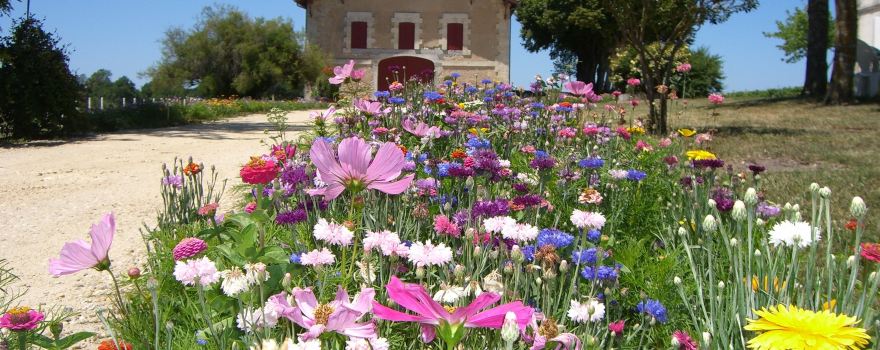 Le Temple de Tourteyron