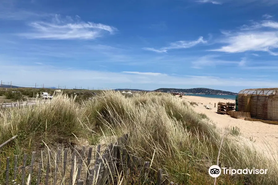 Plage des Trois Digues