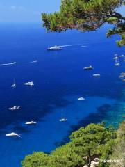 Capri Cruise Srl