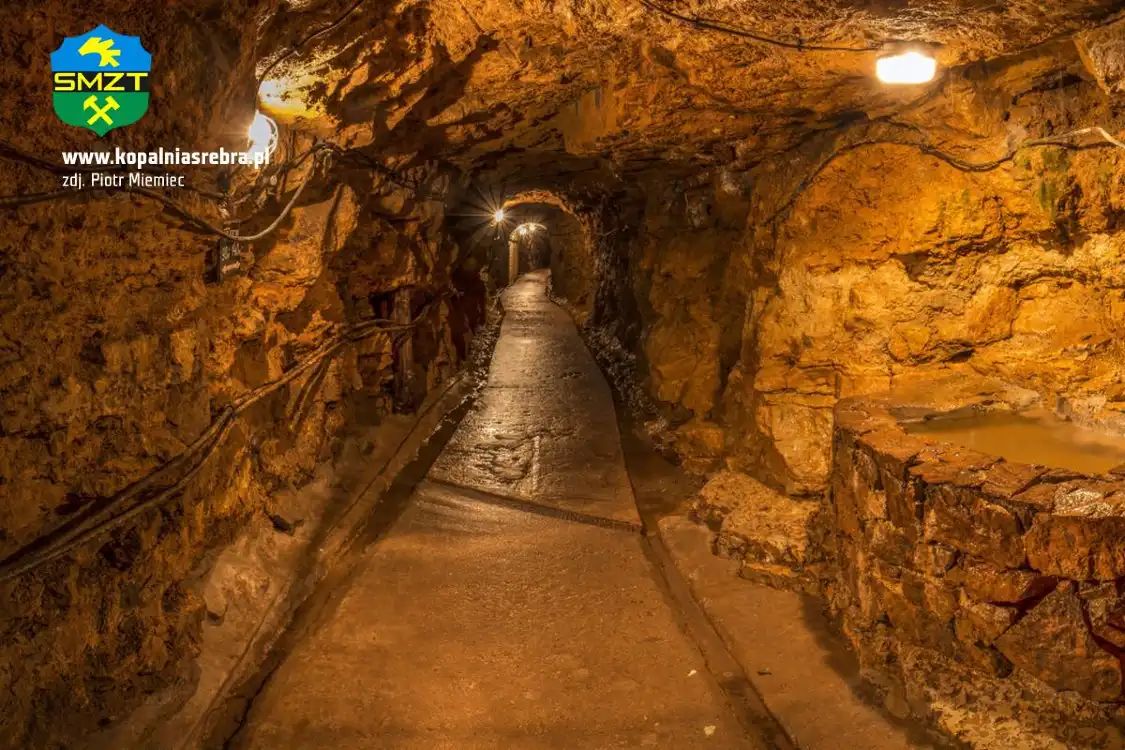 Historic Silver Mine 주변 호텔