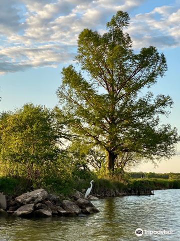 Overholser Park