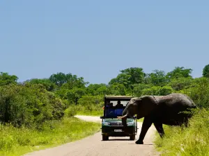 Malelane Gate @ Kruger National Park