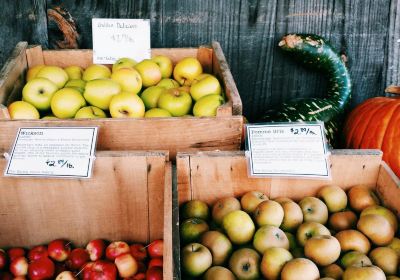 Killdeer Farm Stand