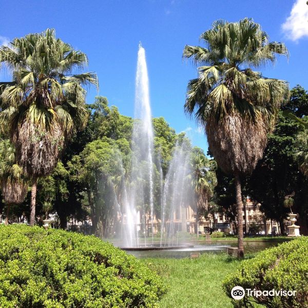 New York - Ribeirao Preto uçuşu