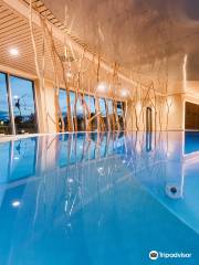 NEMO pool, sauna and fitness world
