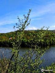 Brno Dam