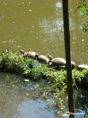 Zoológico Municipal de Guarulhos