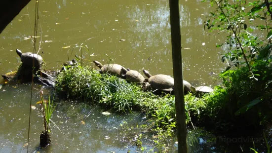 Zoologico Municipal de Guarulhos