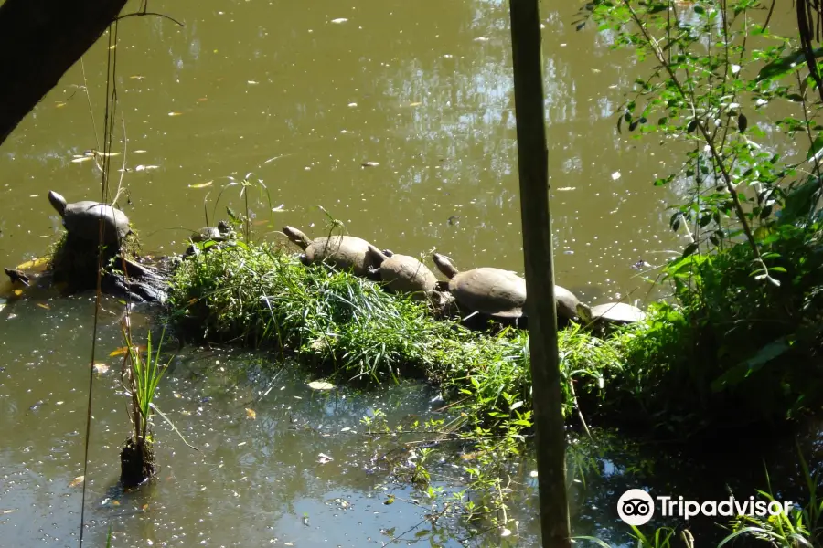 Zoológico Municipal de Guarulhos