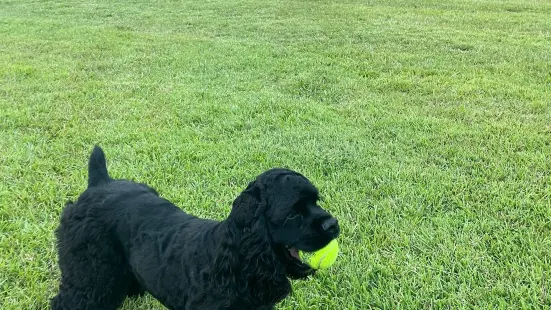 Best Friend's Dog Park