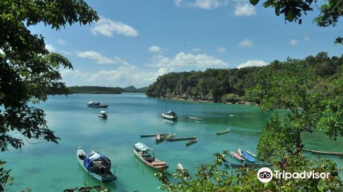 Batu Termanu