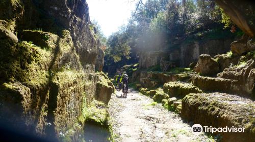 Sterrando Bike