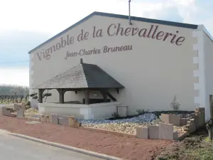 BRUNEAU Jean-Charles.Vignoble de la Chevallerie.