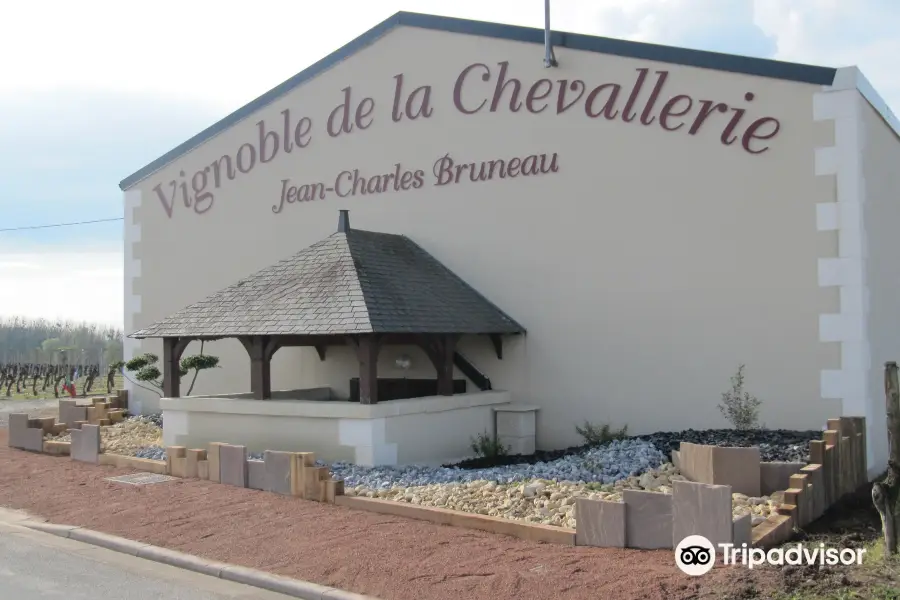 BRUNEAU Jean-Charles.Vignoble de la Chevallerie.
