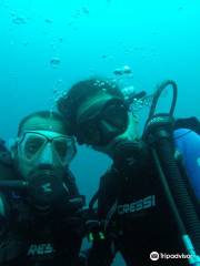 Dodanduwa Dive Club