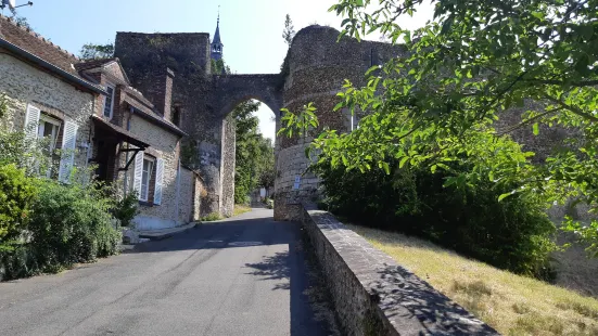 Ruines de l'ancien château