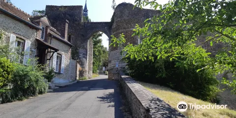 Ruines de l'ancien château