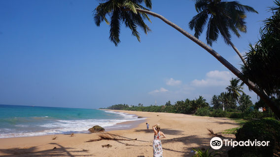 Chauffeur Prive Srilanka