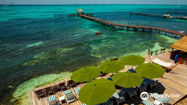 Kin ha Isla Mujeres Restaurant