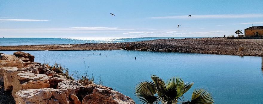 Arenal de Borriana
