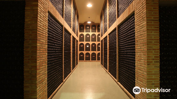 Bodegas Fernández de Piérola