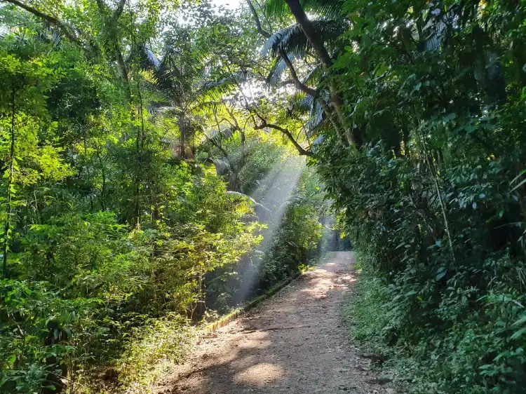 Mauá