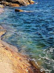 Scogliera del Calello e di Cala Maestrale