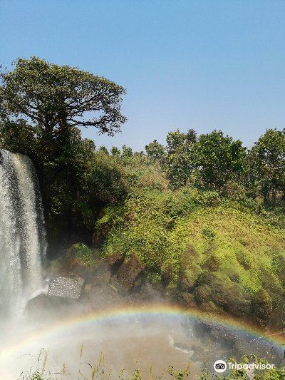 Voli ${{cityDName}} Foumban