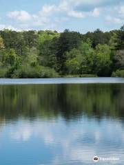 Hard Labor Creek State Park