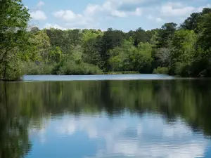 Hard Labor Creek State Park