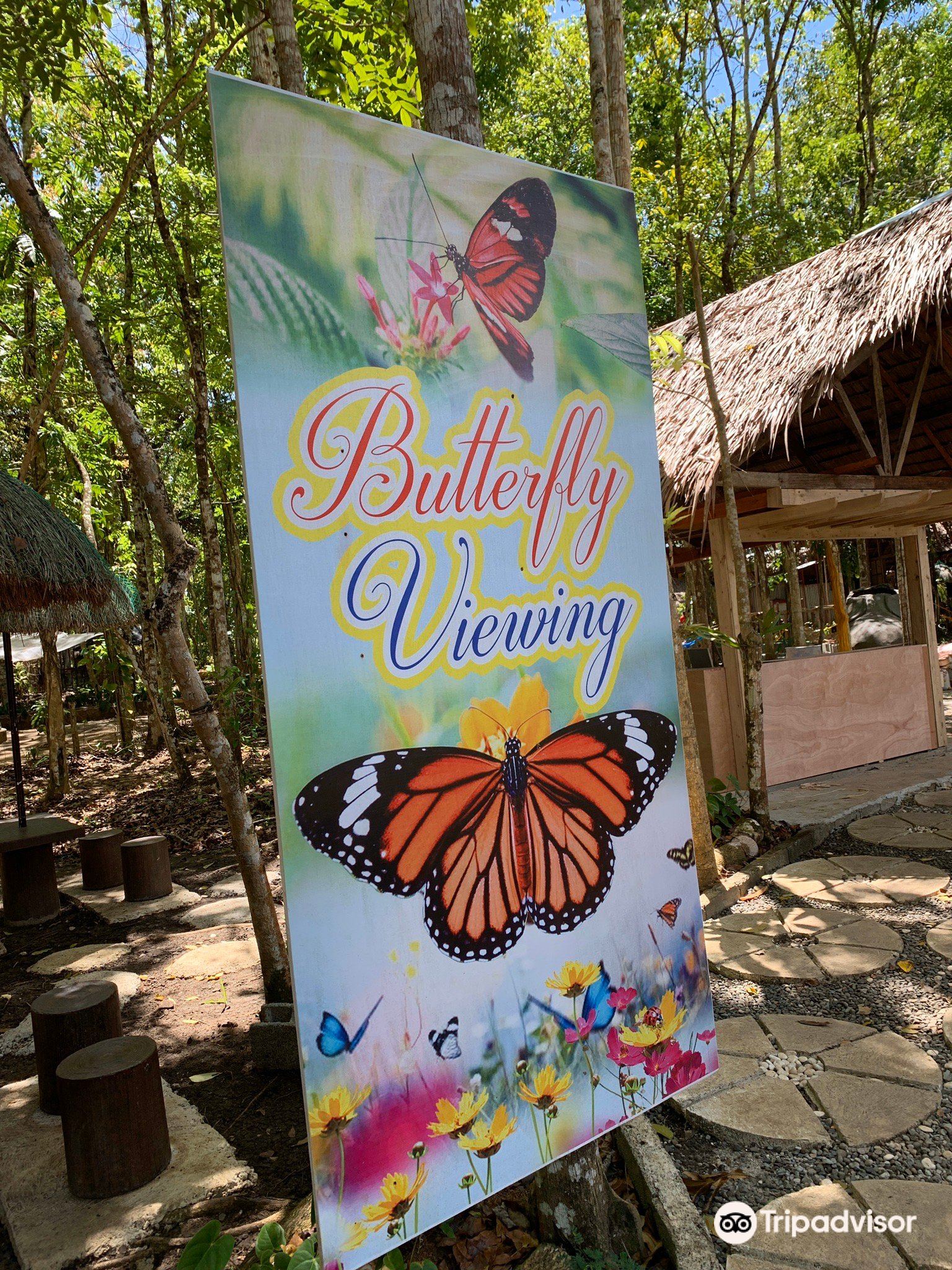 Bohol Enchanted Zoological and Botanical Garden: Photos, Map & Reviews 