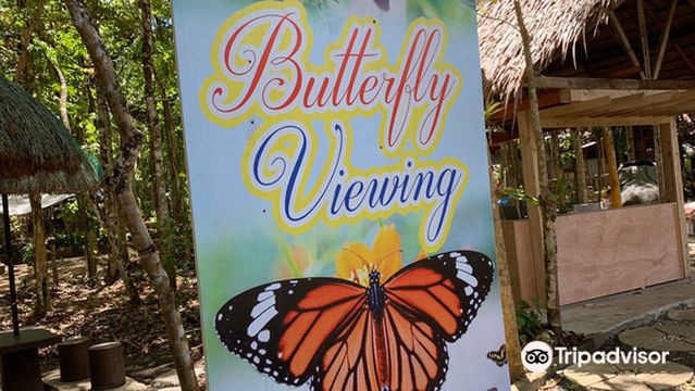 Bohol Enchanted Zoological and Botanical Garden